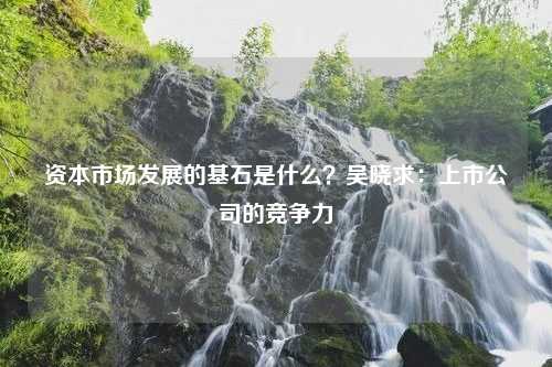 资本市场发展的基石是什么？吴晓求：上市公司的竞争力