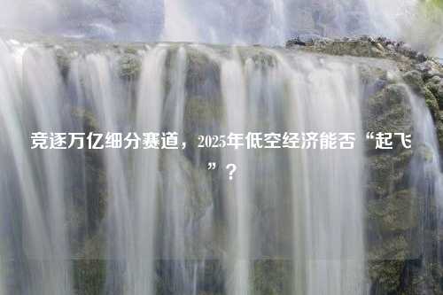 竞逐万亿细分赛道，2025年低空经济能否“起飞”？