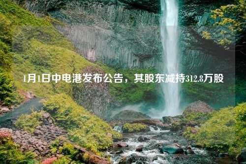 1月1日中电港发布公告，其股东减持312.8万股