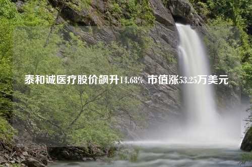 泰和诚医疗股价飙升14.68% 市值涨53.25万美元