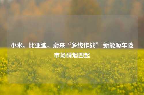 小米、比亚迪、蔚来“多线作战” 新能源车险市场硝烟四起