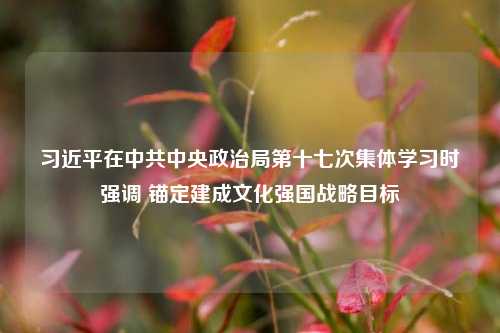 习近平在中共中央政治局第十七次集体学习时强调 锚定建成文化强国战略目标