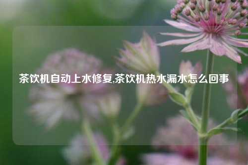 茶饮机自动上水修复,茶饮机热水漏水怎么回事