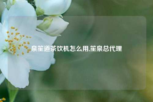 泉笙道茶饮机怎么用,笙泉总代理