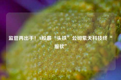 澳门马会精准资料网址 第5页