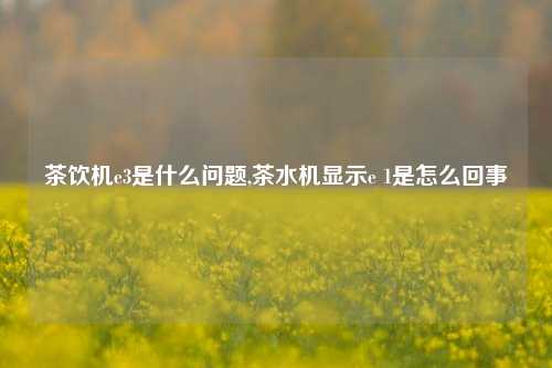 茶饮机e3是什么问题,茶水机显示e 1是怎么回事