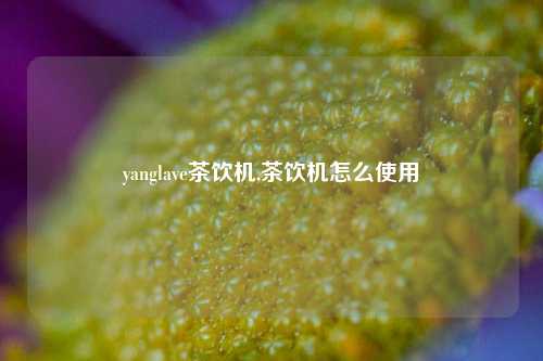 yanglave茶饮机,茶饮机怎么使用