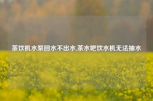 茶饮机水泵回水不出水,茶水吧饮水机无法抽水