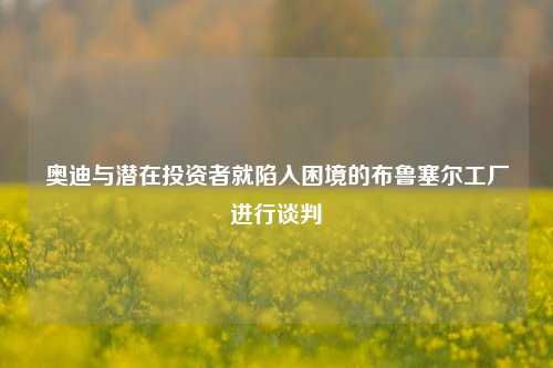 奥迪与潜在投资者就陷入困境的布鲁塞尔工厂进行谈判