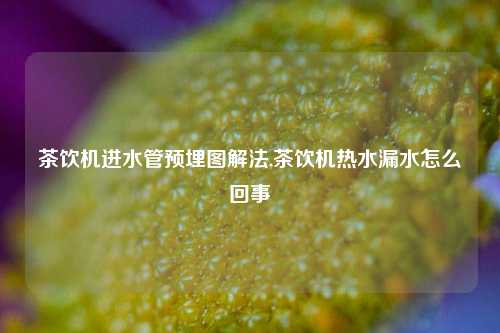 茶饮机进水管预埋图解法,茶饮机热水漏水怎么回事