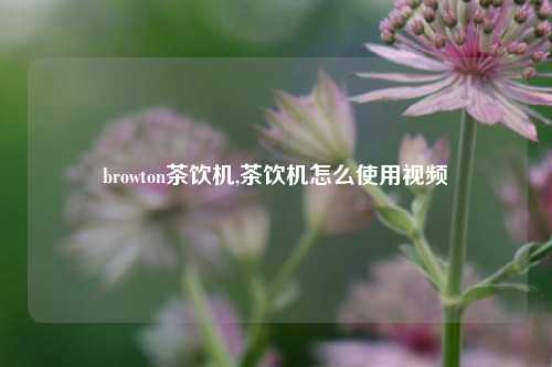 browton茶饮机,茶饮机怎么使用视频