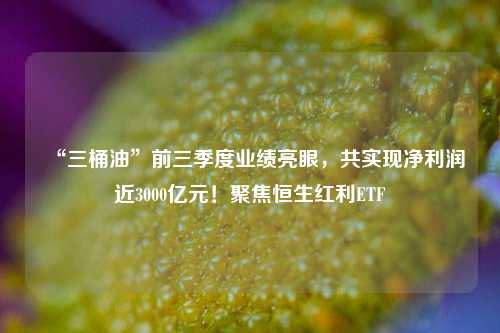 澳门精准十码资料 第3页