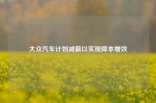 大众汽车计划减薪以实现降本增效