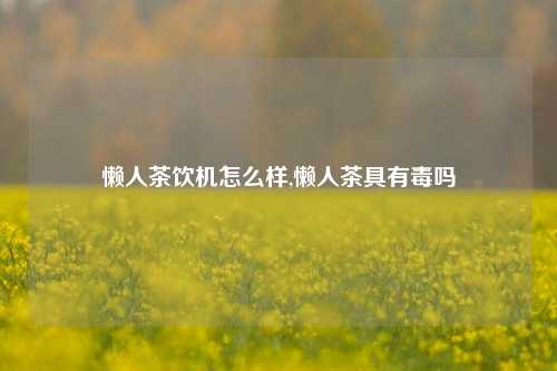 懒人茶饮机怎么样,懒人茶具有毒吗