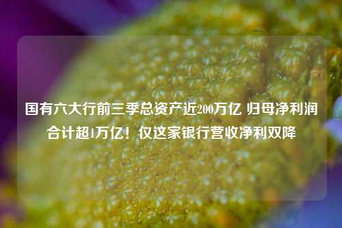 澳门九龙精准资料网 第3页