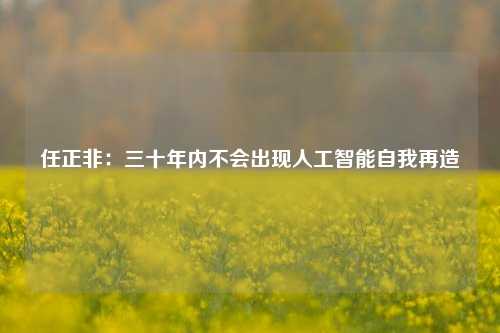 任正非：三十年内不会出现人工智能自我再造