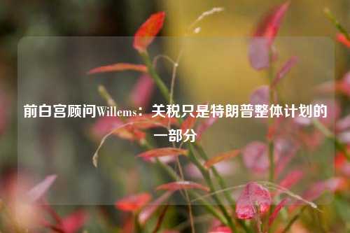 前白宫顾问Willems：关税只是特朗普整体计划的一部分