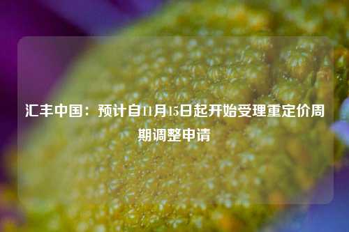 汇丰中国：预计自11月15日起开始受理重定价周期调整申请