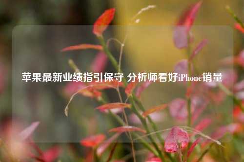 苹果最新业绩指引保守 分析师看好iPhone销量