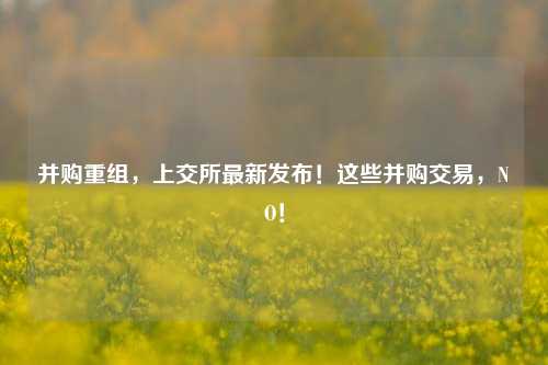 并购重组，上交所最新发布！这些并购交易，NO！