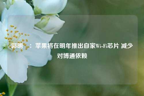 郭明錤：苹果将在明年推出自家Wi-Fi芯片 减少对博通依赖