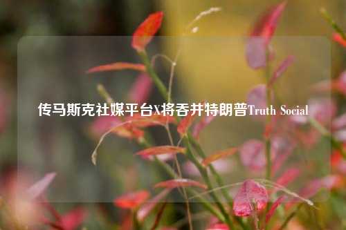 传马斯克社媒平台X将吞并特朗普Truth Social