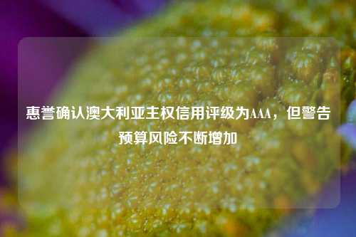 惠誉确认澳大利亚主权信用评级为AAA，但警告预算风险不断增加