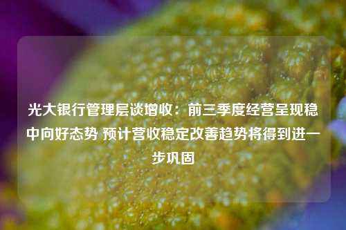 光大银行管理层谈增收：前三季度经营呈现稳中向好态势 预计营收稳定改善趋势将得到进一步巩固