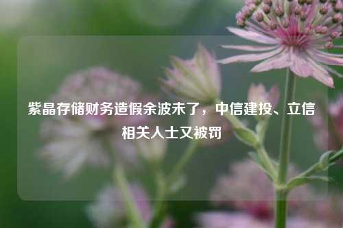 紫晶存储财务造假余波未了，中信建投、立信相关人士又被罚