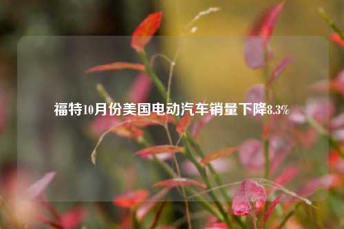 福特10月份美国电动汽车销量下降8.3%