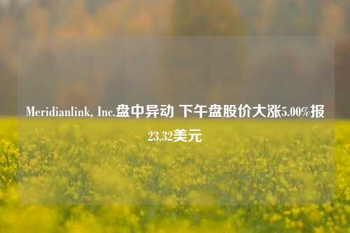 Meridianlink, Inc.盘中异动 下午盘股价大涨5.00%报23.32美元