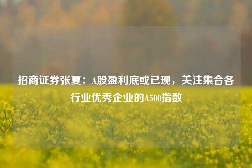 招商证券张夏：A股盈利底或已现，关注集合各行业优秀企业的A500指数