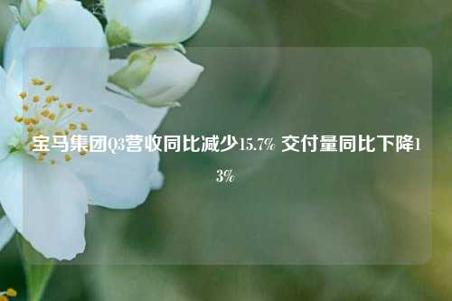 宝马集团Q3营收同比减少15.7% 交付量同比下降13%