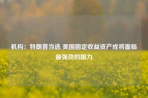 机构：特朗普当选 美国固定收益资产或将面临最强劲的阻力