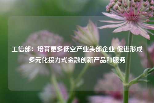 工信部：培育更多低空产业头部企业 促进形成多元化接力式金融创新产品和服务