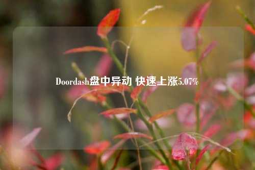 Doordash盘中异动 快速上涨5.07%