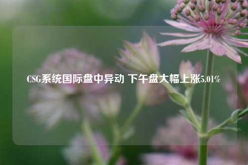 CSG系统国际盘中异动 下午盘大幅上涨5.01%