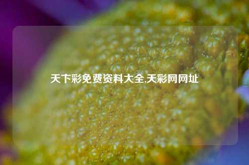 天卞彩免费资料大全,天彩网网址