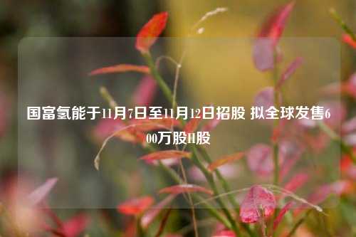 国富氢能于11月7日至11月12日招股 拟全球发售600万股H股