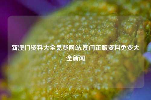 新澳门资料大全免费网站,澳门正版资料免费大全新闻