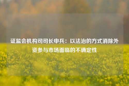 证监会机构司司长申兵：以法治的方式消除外资参与市场面临的不确定性