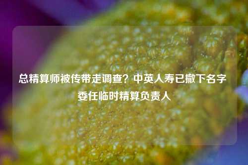 总精算师被传带走调查？中英人寿已撤下名字 委任临时精算负责人