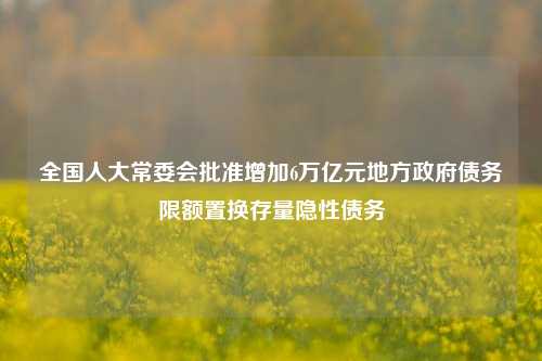 全国人大常委会批准增加6万亿元地方政府债务限额置换存量隐性债务