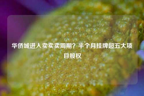 华侨城进入卖卖卖周期？半个月挂牌超五大项目股权