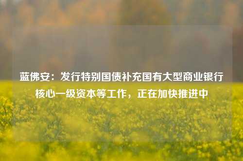 蓝佛安：发行特别国债补充国有大型商业银行核心一级资本等工作，正在加快推进中