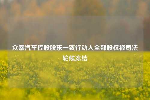 众泰汽车控股股东一致行动人全部股权被司法轮候冻结