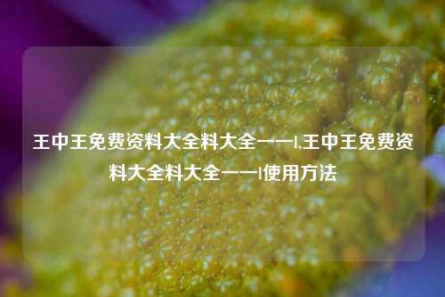 王中王免费资料大全料大全一一l,王中王免费资料大全料大全一一l使用方法