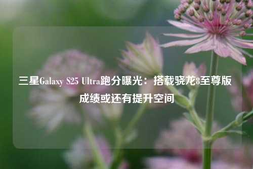 三星Galaxy S25 Ultra跑分曝光：搭载骁龙8至尊版 成绩或还有提升空间