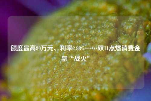 额度最高80万元、利率2.88%……双11点燃消费金融“战火”