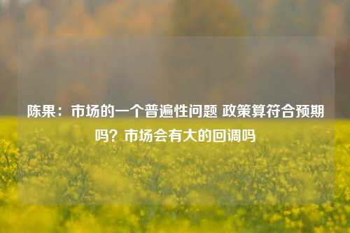 陈果：市场的一个普遍性问题 政策算符合预期吗？市场会有大的回调吗